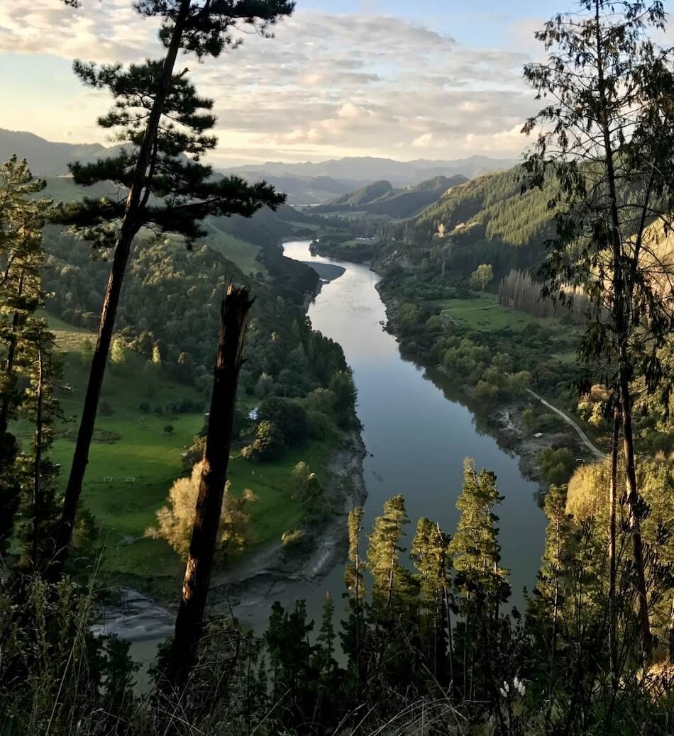 The Whanganui River winding through a bush-clad valley, framed by tall trees